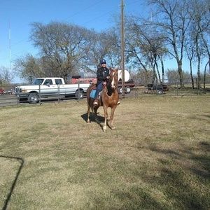 Meet your Posher, Alexis